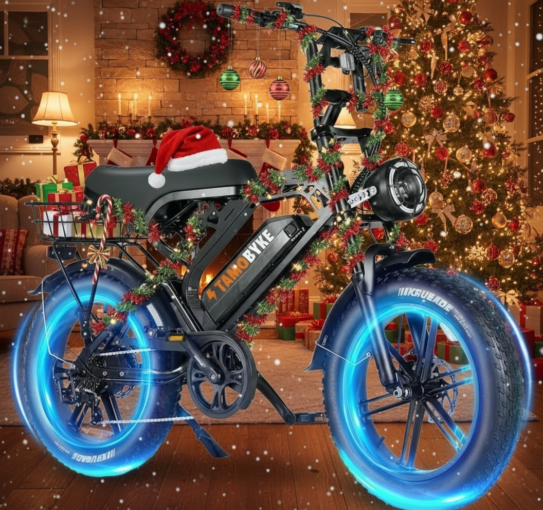 V20 Ebike