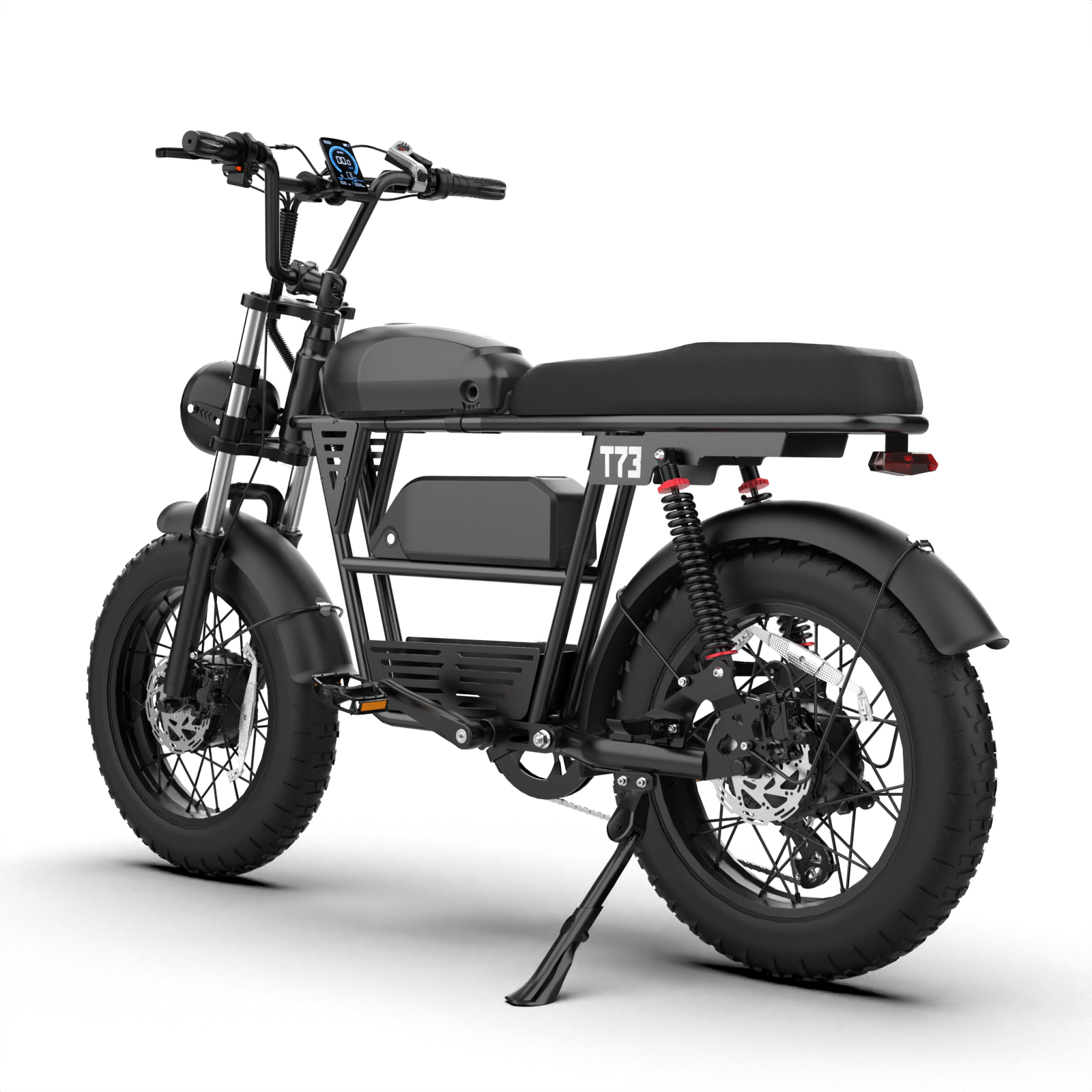 T73 Dual Motor & Battery Ebike