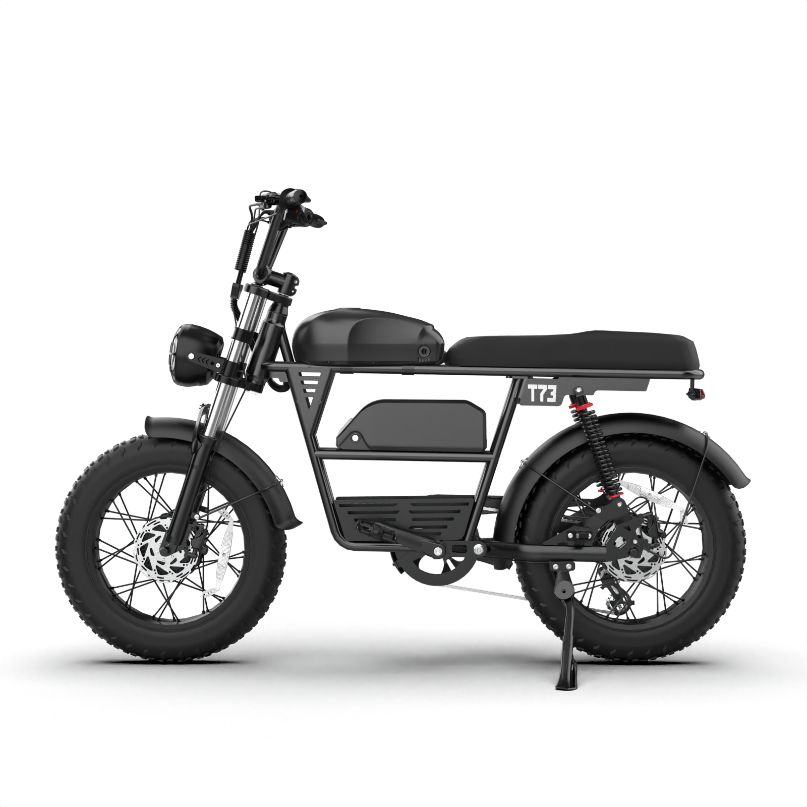 T73 Dual Motor & Battery Ebike