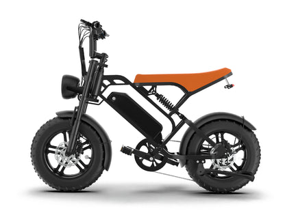 T16 teens/children Ebike