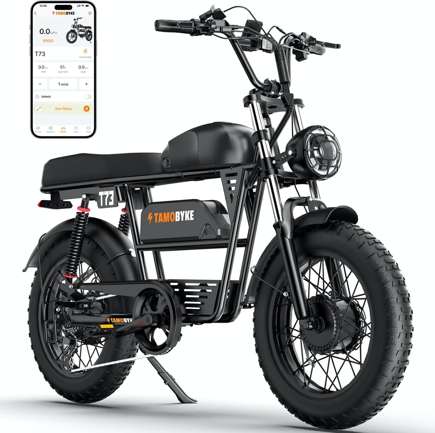 T73 Dual Motor & Battery Ebike