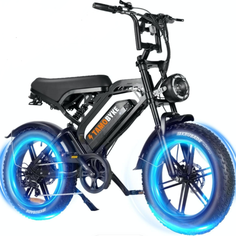V20 Ebike