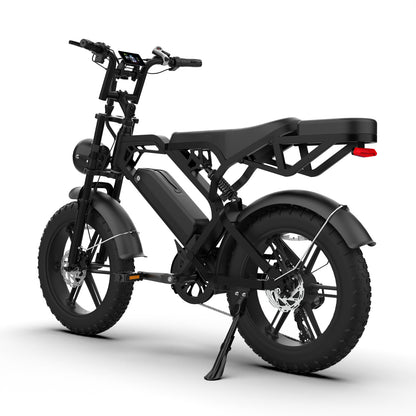 V20 Ebike