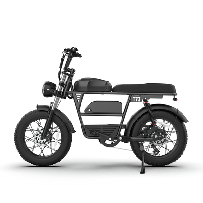 T73 Dual Motor & Battery Ebike