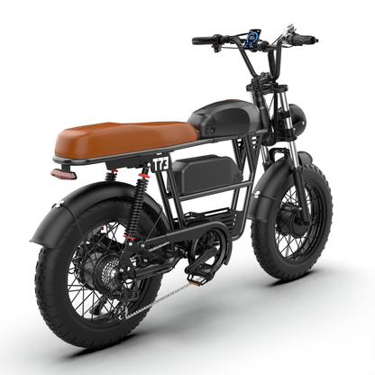 T73 Dual Motor & Battery Ebike
