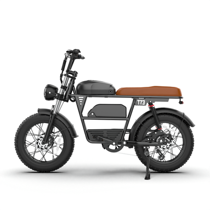 T73 Dual Motor & Battery Ebike