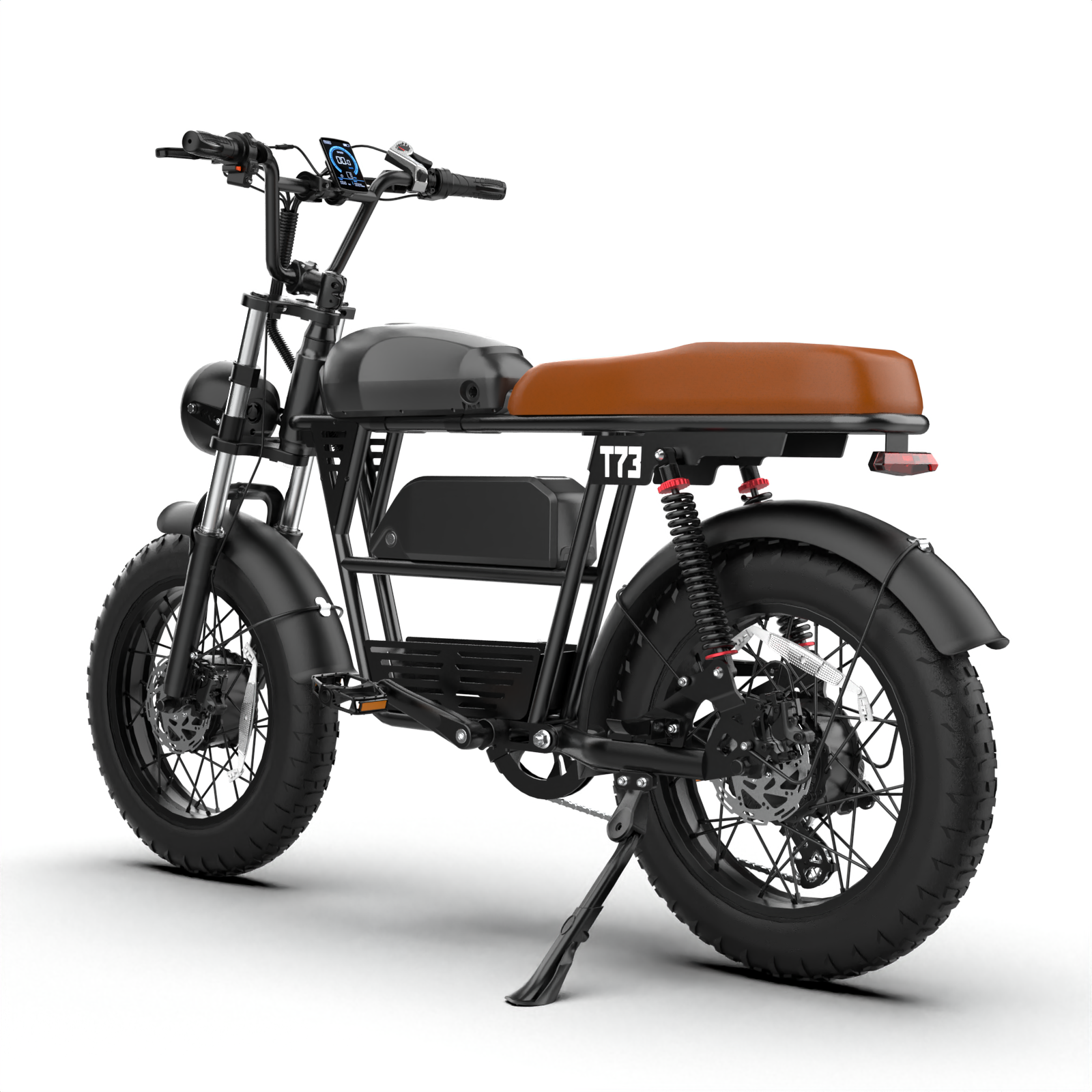 T73 Dual Motor & Battery Ebike