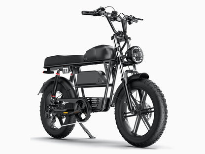 T73 Dual Battery Ebike