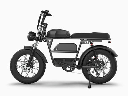 T73 Dual Battery Ebike