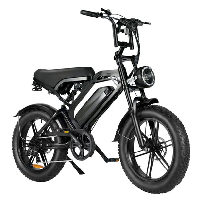 V20 Ebike