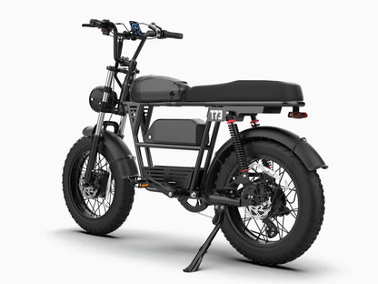 T73 Dual Battery Ebike