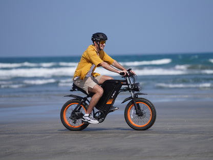 V40 Long Range Ebike