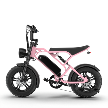 T16 Ebike suitable for teens and children