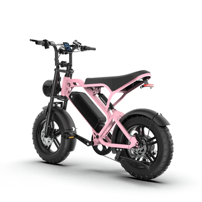 T16 Ebike suitable for teens and children