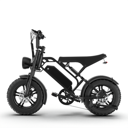 T16 Ebike suitable for teens and children
