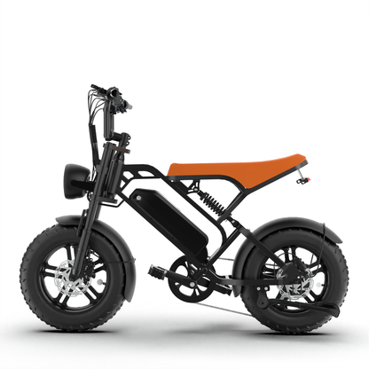 T16 Ebike suitable for teens and children